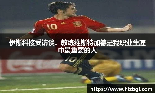 k1体育网页版