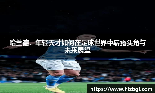 k1体育网页版